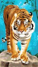 Lade das Bild in den Galerie-Viewer, Stickpackung mit Perlen &quot;Tiger Spaziergang&quot;
