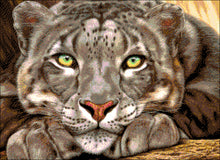 Lade das Bild in den Galerie-Viewer, Stickpackung mit Perlen &quot;Tiger auf der Lauer&quot;
