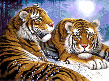 Lade das Bild in den Galerie-Viewer, Stickpackung mit Perlen &quot;Tigerpaar&quot;
