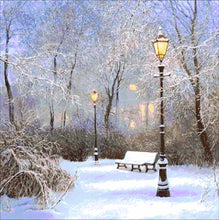 Lade das Bild in den Galerie-Viewer, Stickpackung mit Perlen &quot;Winterpark&quot;
