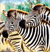 Lade das Bild in den Galerie-Viewer, Stickpackung mit Perlen &quot;Zebra&quot;

