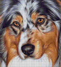 Lade das Bild in den Galerie-Viewer, Stickpackung mit Perlen &quot;Australien Shepherd&quot;
