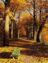 Lade das Bild in den Galerie-Viewer, Stickpackung mit Perlen &quot;Bank im Park&quot;
