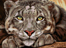 Lade das Bild in den Galerie-Viewer, Stickpackung mit Perlen &quot;Tiger auf der Lauer&quot;
