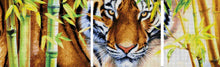 Lade das Bild in den Galerie-Viewer, Stickpackung mit Perlen &quot;Der fernöstliche Tiger&quot;
