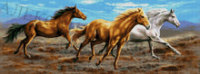 Lade das Bild in den Galerie-Viewer, Stickpackung mit Perlen &quot;In der Steppe&quot;
