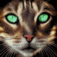 Lade das Bild in den Galerie-Viewer, Stickpackung mit Perlen &quot;Kater&quot;
