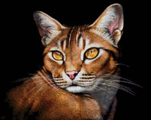 Lade das Bild in den Galerie-Viewer, Stickpackung mit Perlen &quot;Katze&quot;
