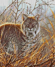 Lade das Bild in den Galerie-Viewer, Stickpackung mit Perlen &quot;Luchs&quot;
