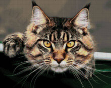 Lade das Bild in den Galerie-Viewer, Stickpackung mit Perlen &quot;Maine coon&quot;
