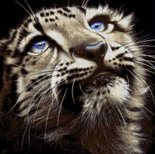 Lade das Bild in den Galerie-Viewer, Stickpackung mit Perlen &quot;Mondleopard&quot;
