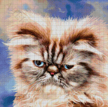 Lade das Bild in den Galerie-Viewer, Stickpackung mit Perlen &quot;Perserkatze&quot;
