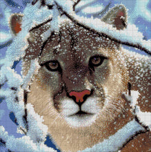 Lade das Bild in den Galerie-Viewer, Stickpackung mit Perlen &quot;Puma&quot;

