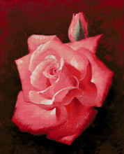 Lade das Bild in den Galerie-Viewer, Stickpackung mit Perlen &quot;Rosa rot&quot;
