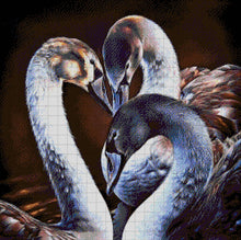 Lade das Bild in den Galerie-Viewer, Stickpackung mit Perlen &quot;Schwarzer Schwan&quot;

