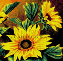Lade das Bild in den Galerie-Viewer, Stickpackung mit Perlen &quot;Sonnige Stimmung&quot;
