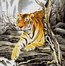 Lade das Bild in den Galerie-Viewer, Stickpackung mit Perlen &quot;Tiger in Bergen&quot;
