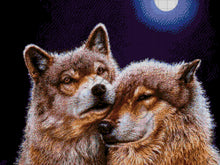 Lade das Bild in den Galerie-Viewer, Stickpackung mit Perlen &quot;Unter dem Mond&quot;
