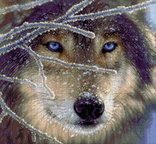 Lade das Bild in den Galerie-Viewer, Stickpackung mit Perlen &quot;Wolf&quot;
