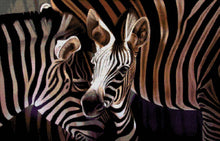 Lade das Bild in den Galerie-Viewer, Stickpackung mit Perlen &quot;Zebras&quot;
