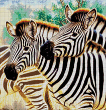 Lade das Bild in den Galerie-Viewer, Stickpackung mit Perlen &quot;Zebra&quot;

