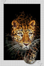 Lade das Bild in den Galerie-Viewer, Stickpackung mit Perlen &quot;Pardus&quot;
