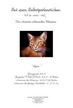 Lade das Bild in den Galerie-Viewer, Stickpackung mit Perlen &quot;Katze&quot;
