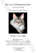 Lade das Bild in den Galerie-Viewer, Stickpackung mit Perlen &quot;Maine coon tabby&quot;
