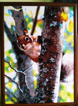 Lade das Bild in den Galerie-Viewer, Stickpackung mit Perlen &quot;Eichhörnchen&quot;
