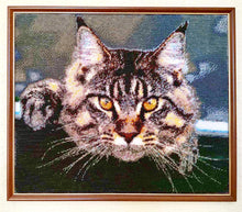 Lade das Bild in den Galerie-Viewer, Stickpackung mit Perlen &quot;Maine coon&quot;

