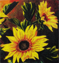 Lade das Bild in den Galerie-Viewer, Stickpackung mit Perlen &quot;Sonnige Stimmung&quot;
