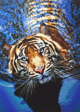 Lade das Bild in den Galerie-Viewer, Stickpackung mit Perlen &quot;Tiger im Fluss&quot;
