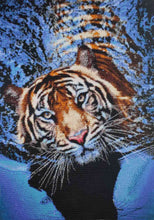Lade das Bild in den Galerie-Viewer, Stickpackung mit Perlen &quot;Tiger im Fluss&quot;
